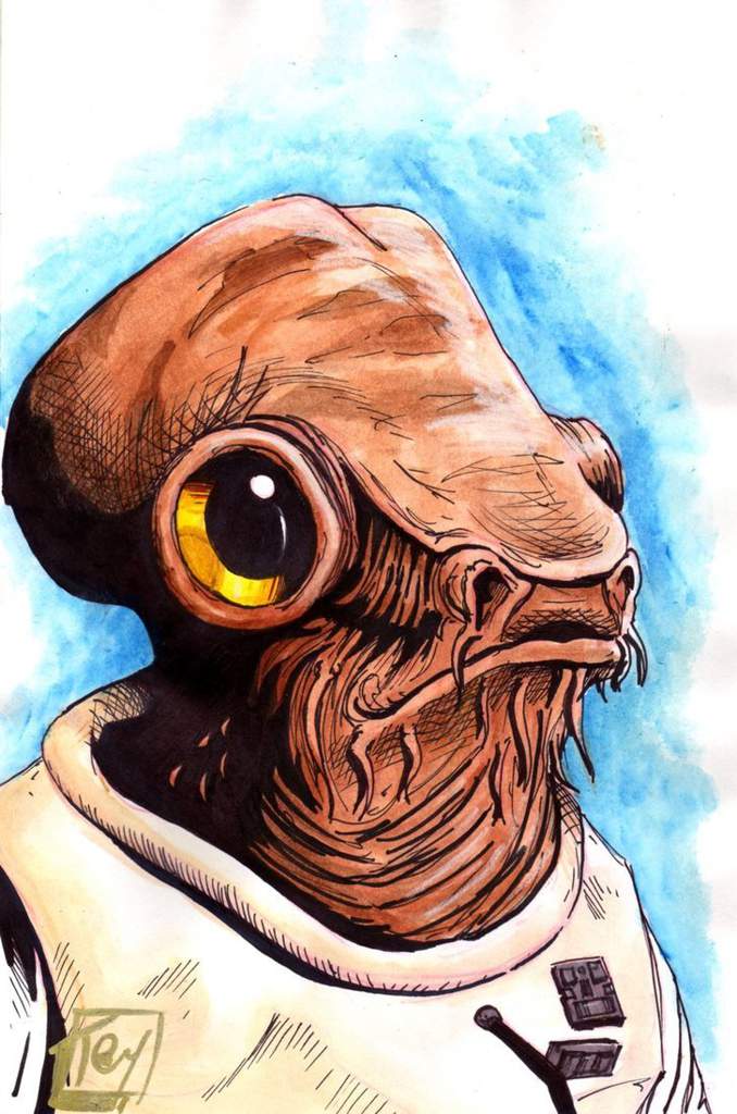 Mon Calamari | Legends | Wiki | Star Wars Amino