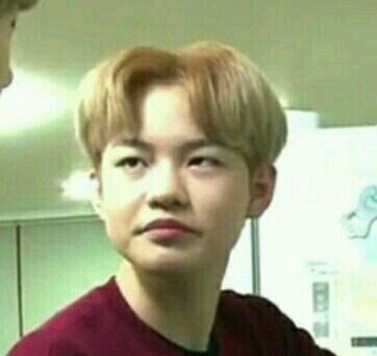 Chenle Memes to Bless Your Life | NCT (엔시티) Amino