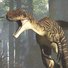 amino-Ceratosaurus nasicornis-d93647a7