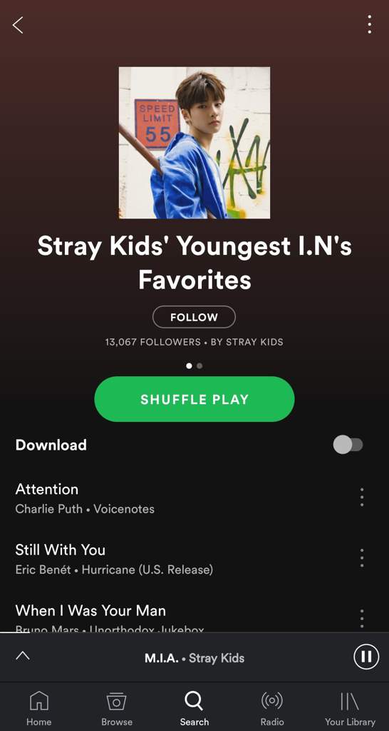 Stray Kids Spotify Playlist Stray Kids Amino