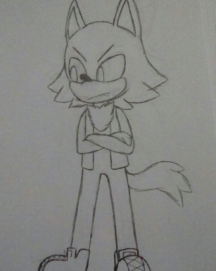 Any Color Scheme Ideas For This Guy Right Here Sonic The Hedgehog Any Color Scheme Ideas For This Guy Right Here Sonic The Hedgehog Amino