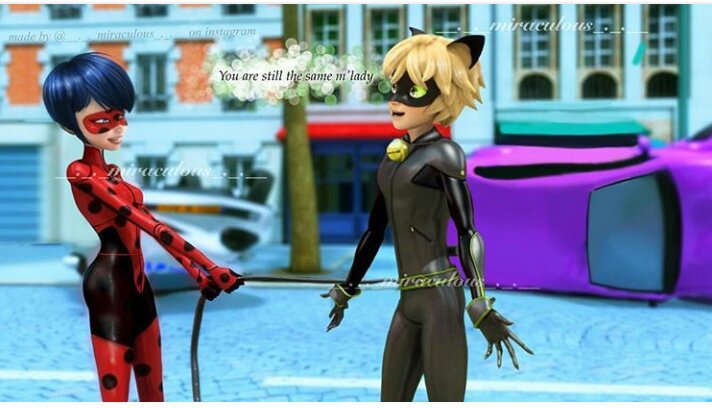 Adult Ladybug And Cat Noir 