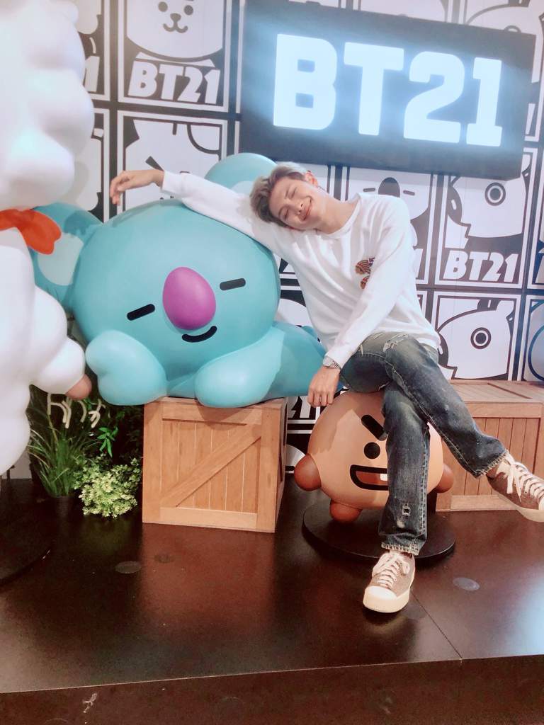 koya teddy