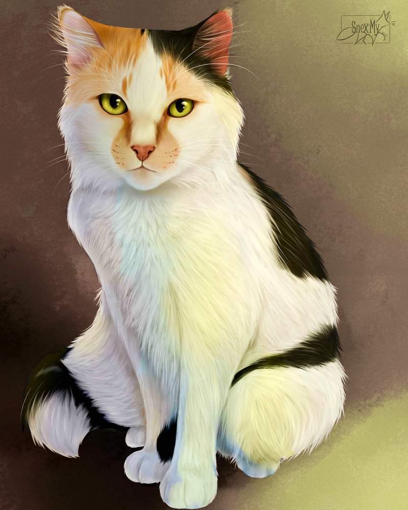 .: Cat Realistic | Warriors Amino