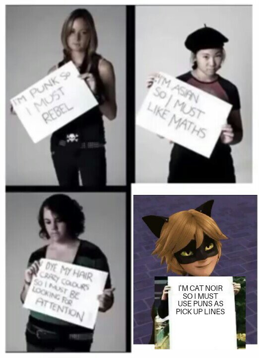 Cat Noir Memes 4 Miraculous Amino