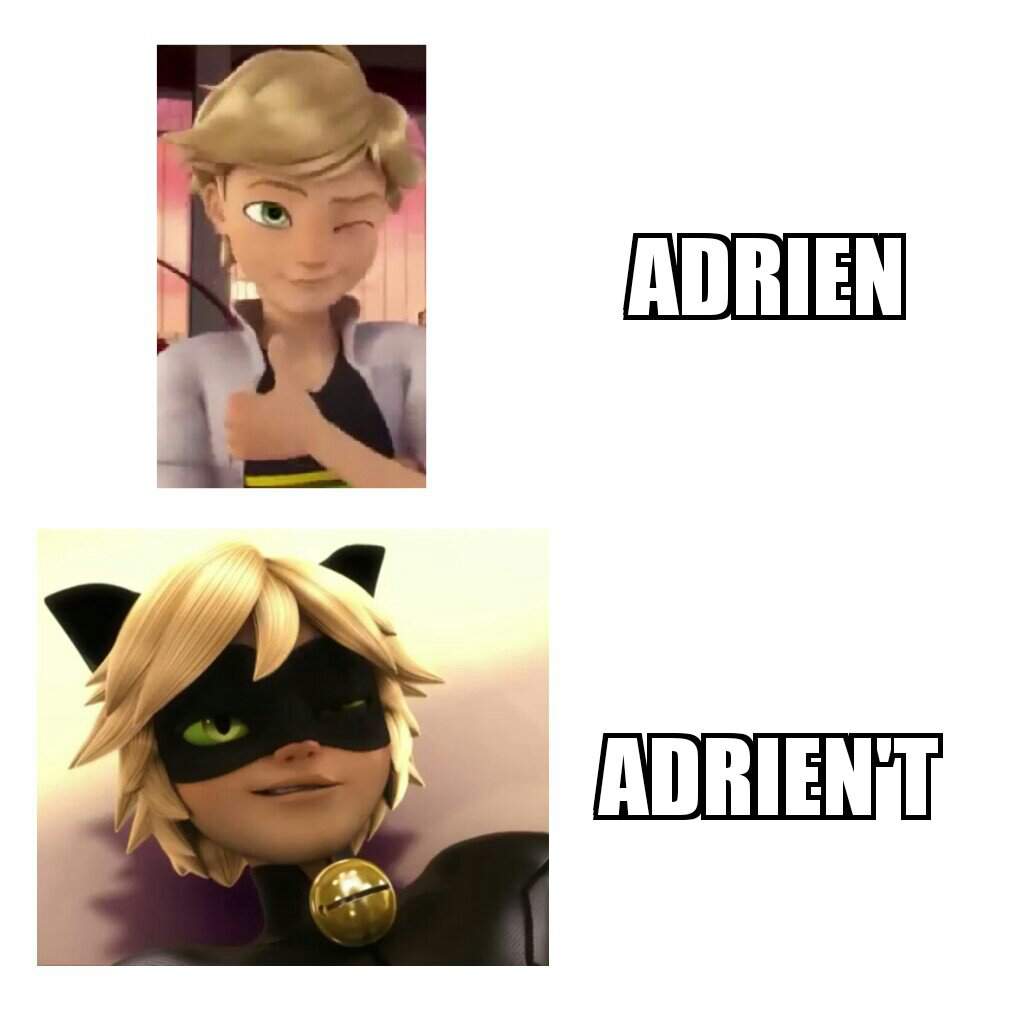 Cat noir memes 4 | Miraculous Amino