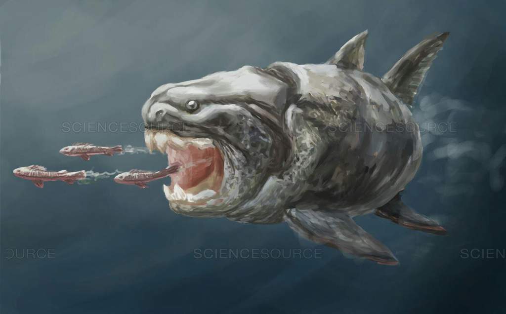 Dunkleosteus Wiki Jurassic World Amino Rpg ™ Amino