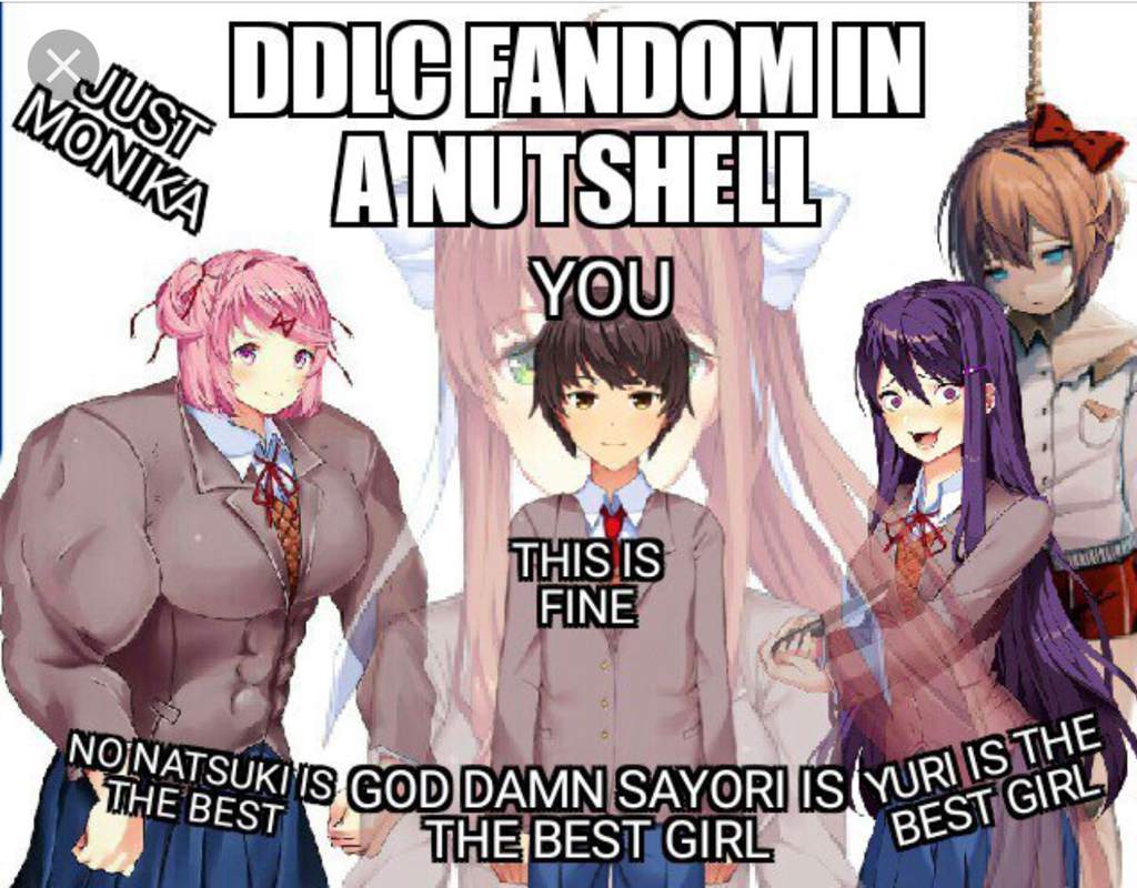 More Wonderful Doki Doki Memes Doki Doki Literature Club Amino