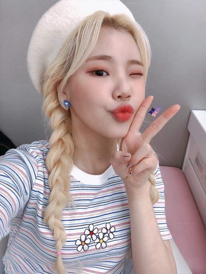 🍉Íղեɾօժմϲեíօղ ҍӏօց🍉 | Momoland🎫🎡 Amino