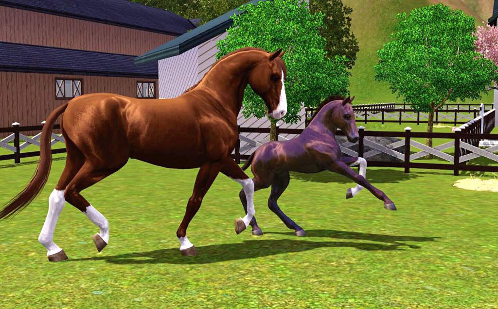 Equus Legacy - Part 1 - Introduction | Sims Amino