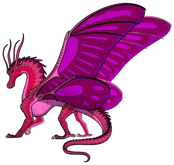 Rosebud the silkwing | Wiki | Wof Art & Rp! Amino