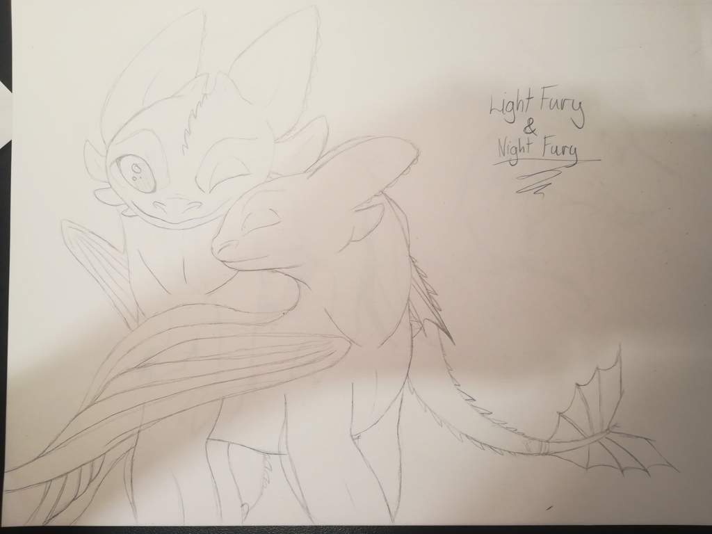 Toothless And Light Fury H T T Y D Amino