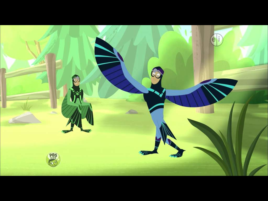 Funny Kratt Pics | Wild Kratts Amino