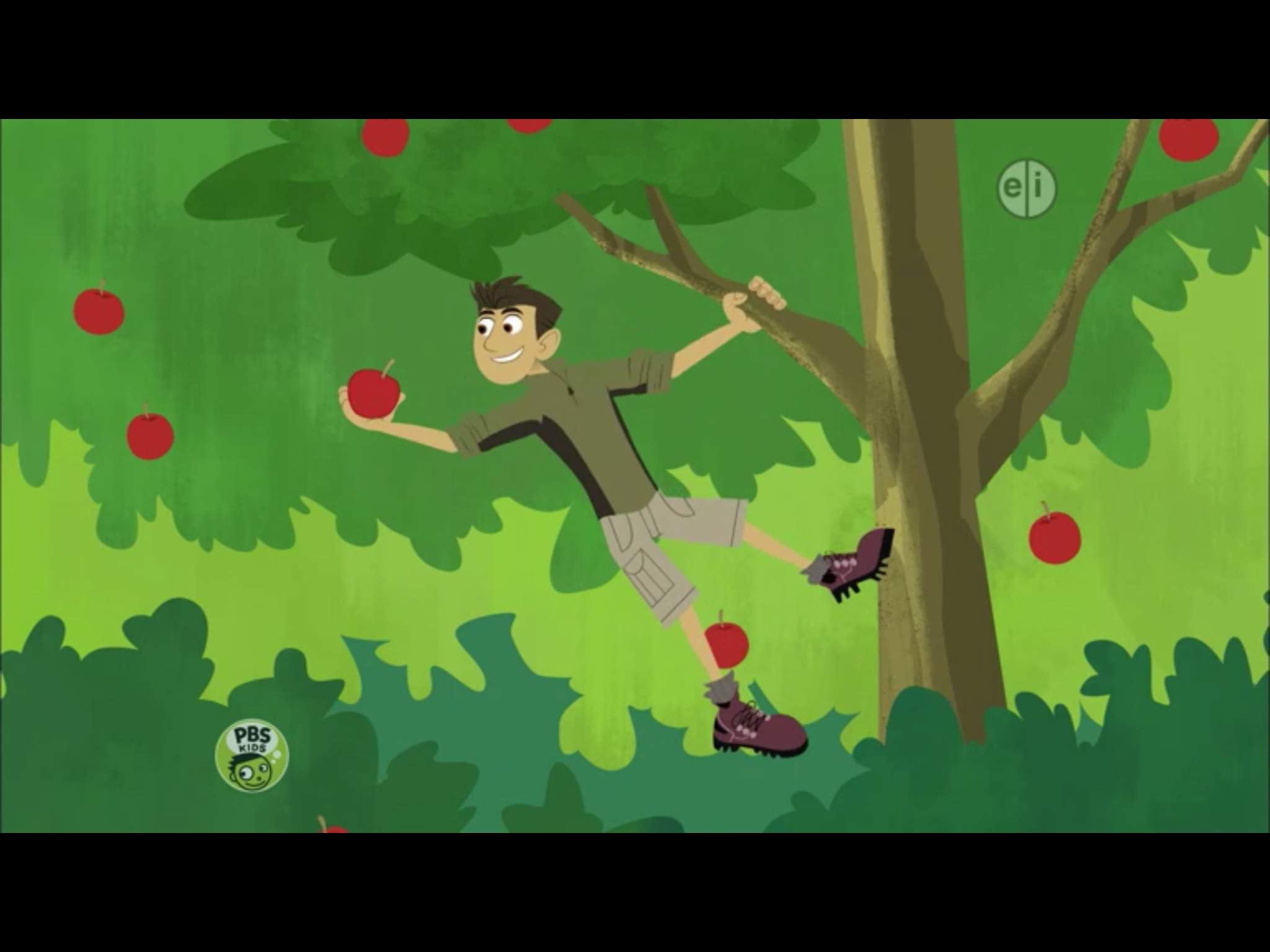 Funny Kratt Pics | Wild Kratts Amino