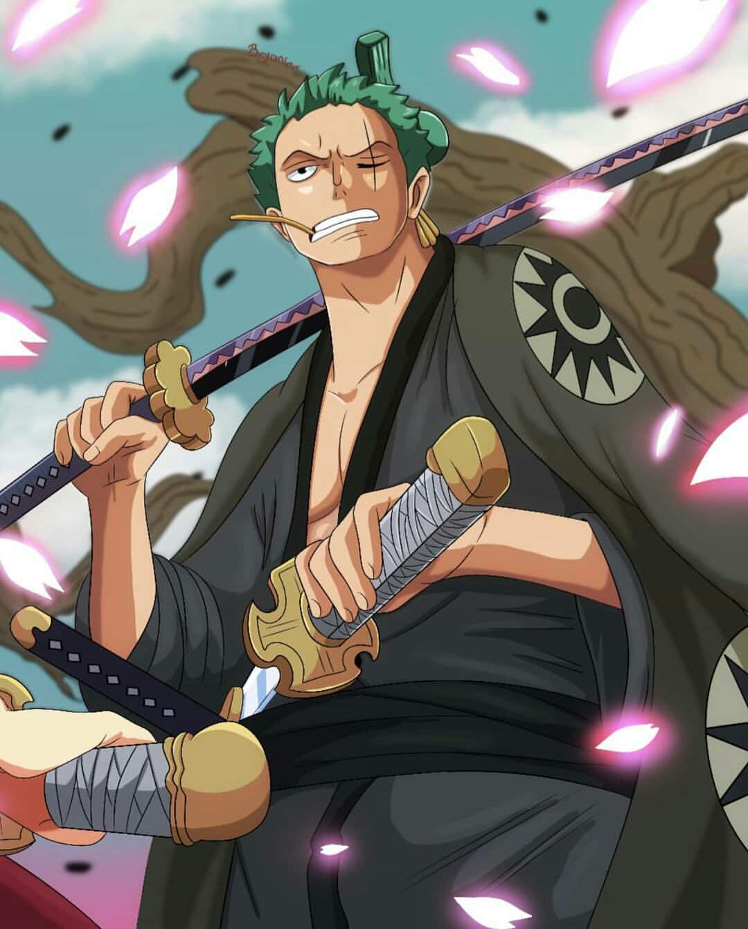 Zoro-juro | •One Piece• Amino