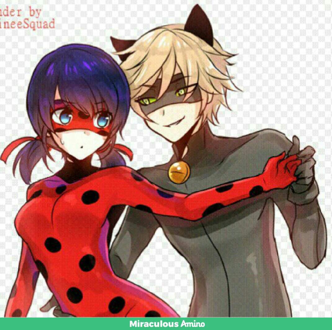 Ladynoir | Wiki | Miraculous Ladybug ! Amino