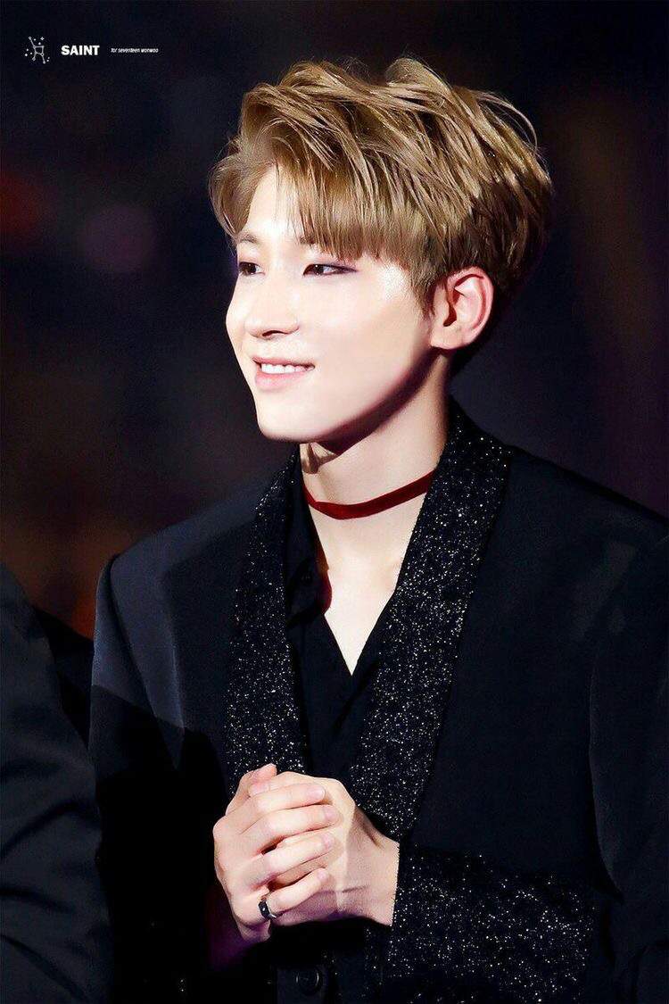 idols wearing chokers | K-Pop Amino