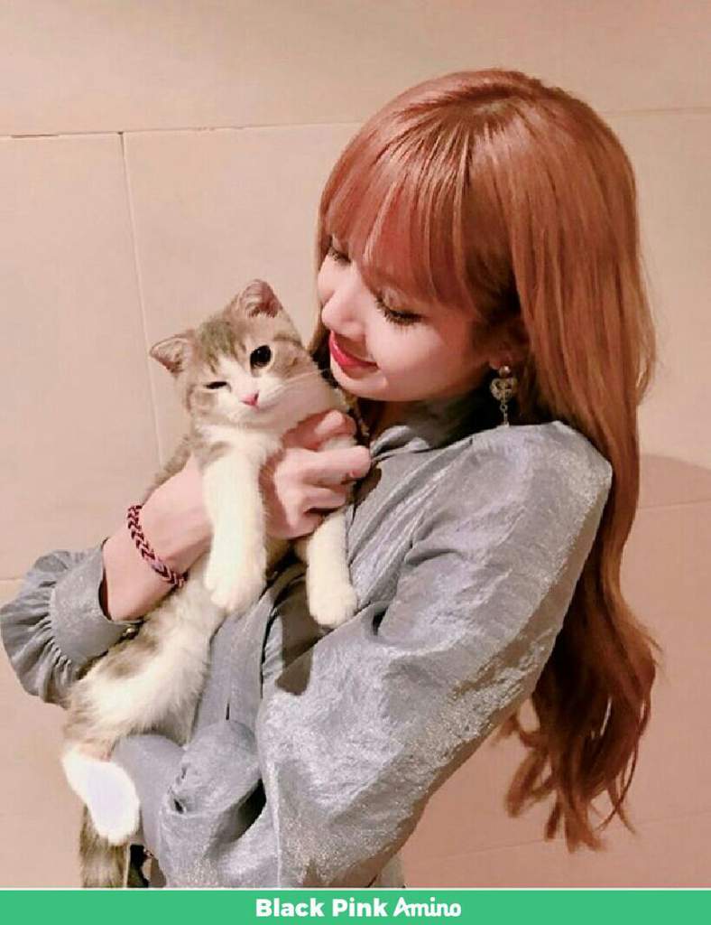 Lisa Y Su Bebe Blackpink Amino