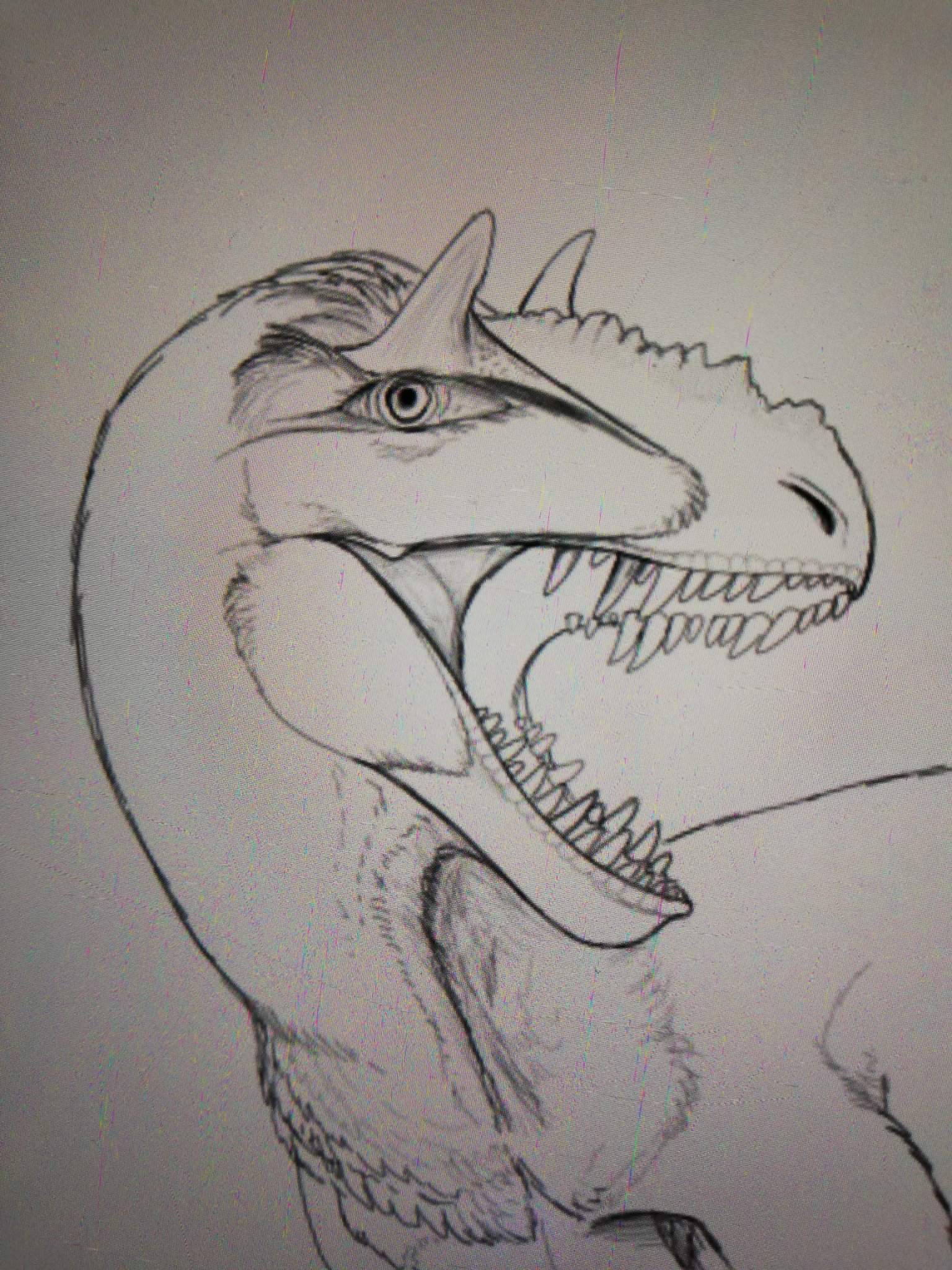 Yutyrannus head almost complete. | Prehistoric Paradise Amino