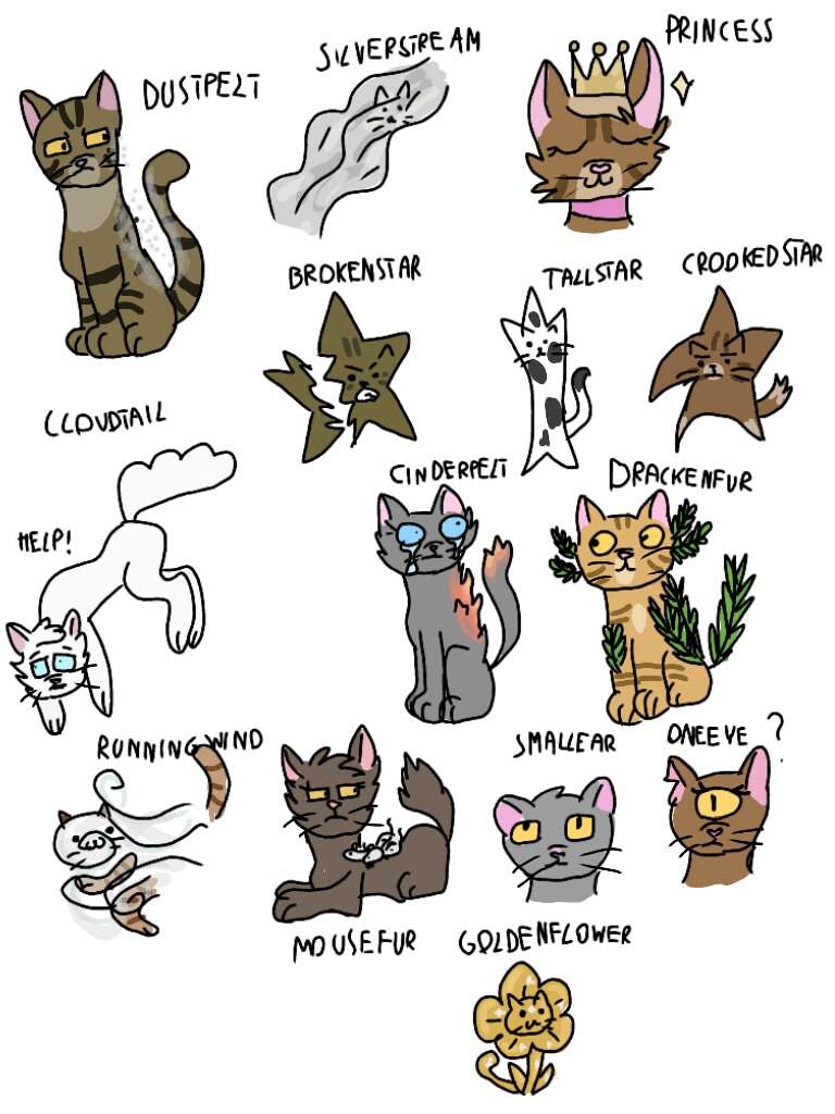 Warrior Cats Names Idea List