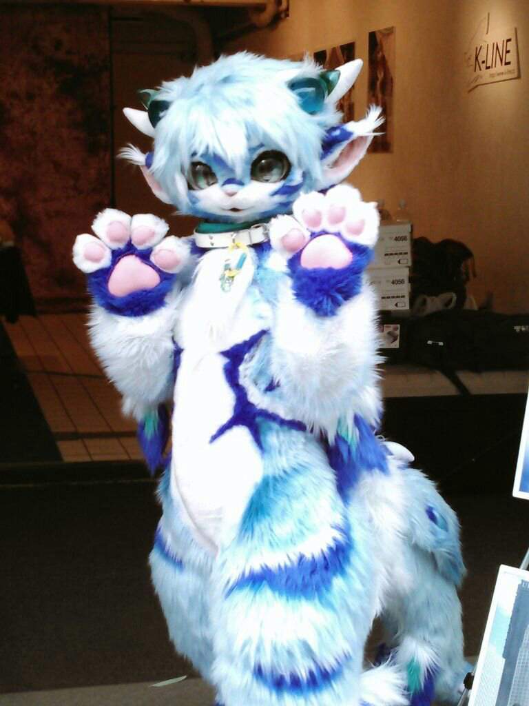 El furry | Wiki | Furry Español Amino