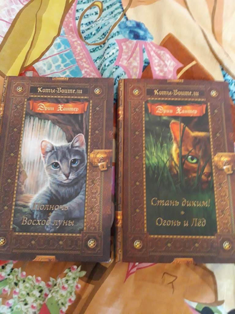 Лес секретов коты воители