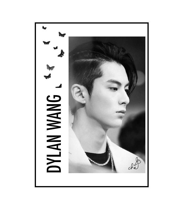 Dylan Hairstyle. Which One Is Your Favorite? | Dylan Wang Amino Amino