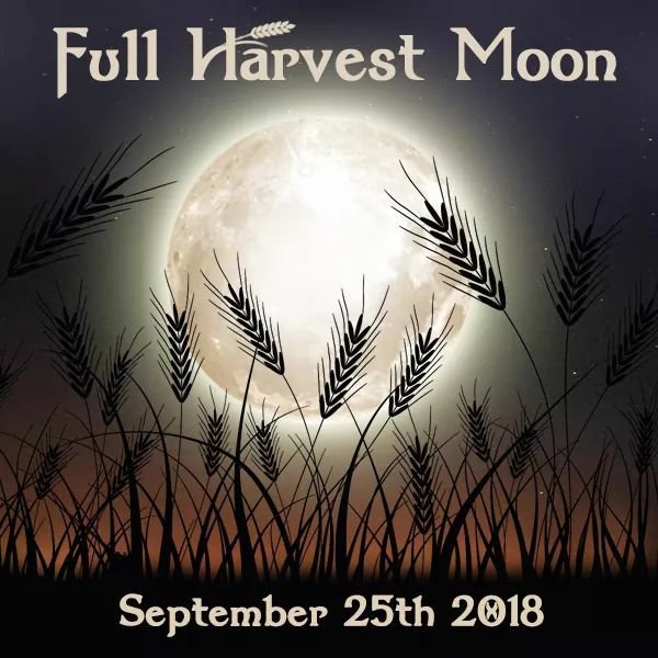 Full Harvest Moon | Pagans & Witches Amino