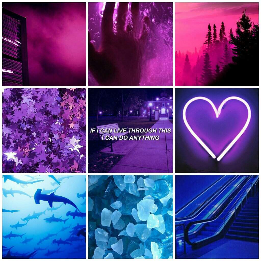 Bisexual moodboard//FOB | aesthetics Amino