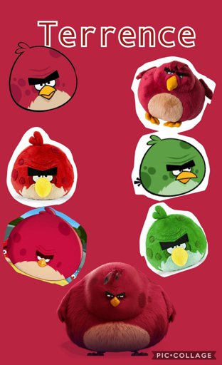 Terrence Wiki Angry Birds Fans Amino Amino