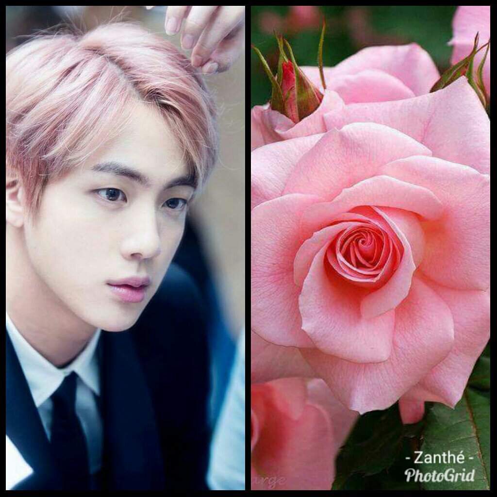 BTS AS FLOWERS/PLANTS KPop Amino