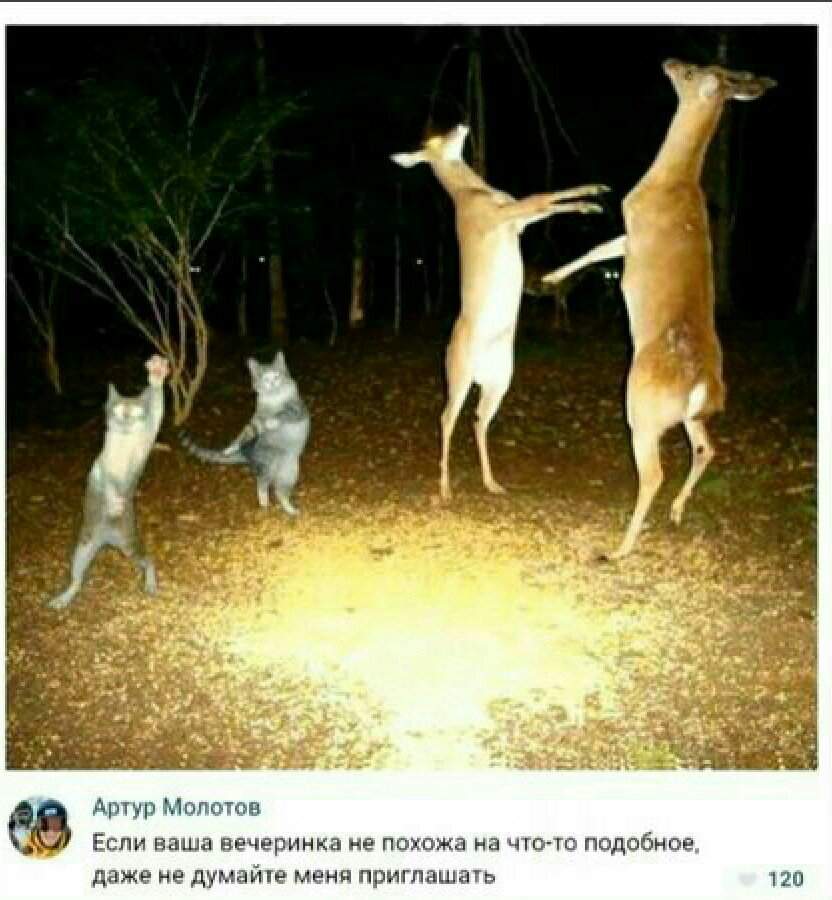 Милые мемы🌚 | \(★ω★)/ МЕМЫ \(★ω★)/ Amino