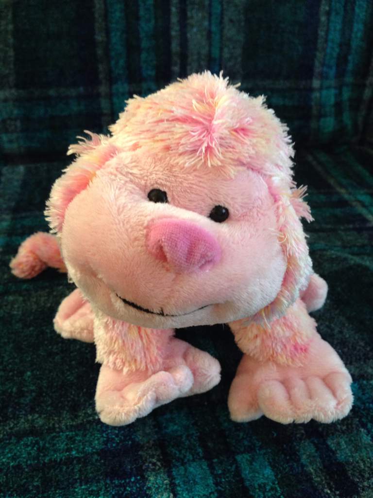 axolotl webkinz plush