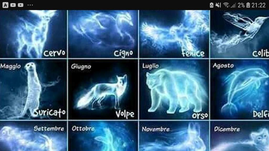 Let me know what your Patronus is. 