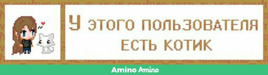 Как вставить картинку в сведения в амино