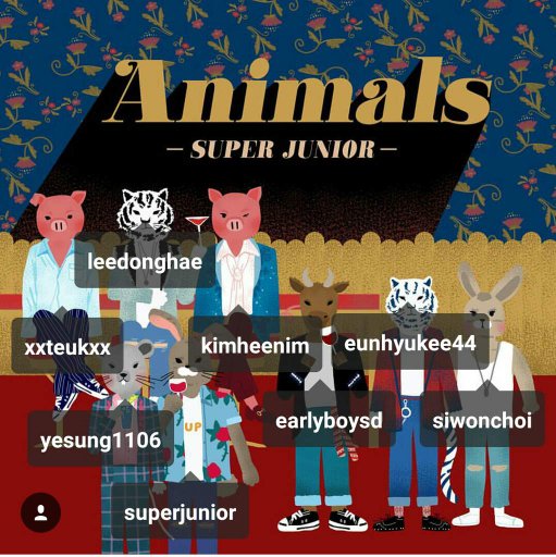 Image result for SUPER JUNIOR animal mv