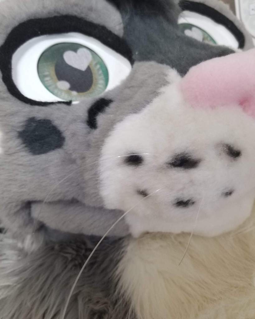 FURSUIT COMMISSIONS OPEN! | The ORIGINAL Canadian Furries! Amino