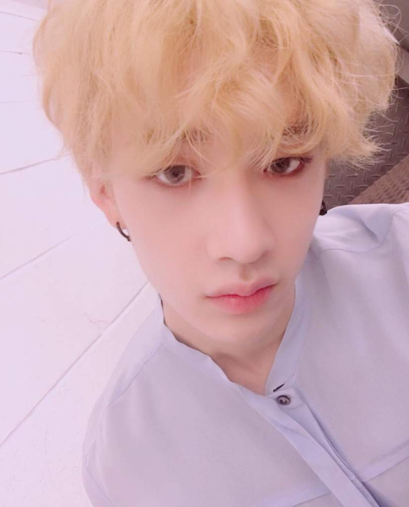 So Our Leader Really Want Stay To Die Huh Blonde Hair Chan Is A