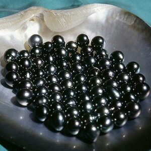 Черный Жемчуг-[IC]Черный Жемчуг (анг. Black Pearl) - это самоцвет с Родного Мира. Тайком с друзьями прилетают на Землю. [BIC