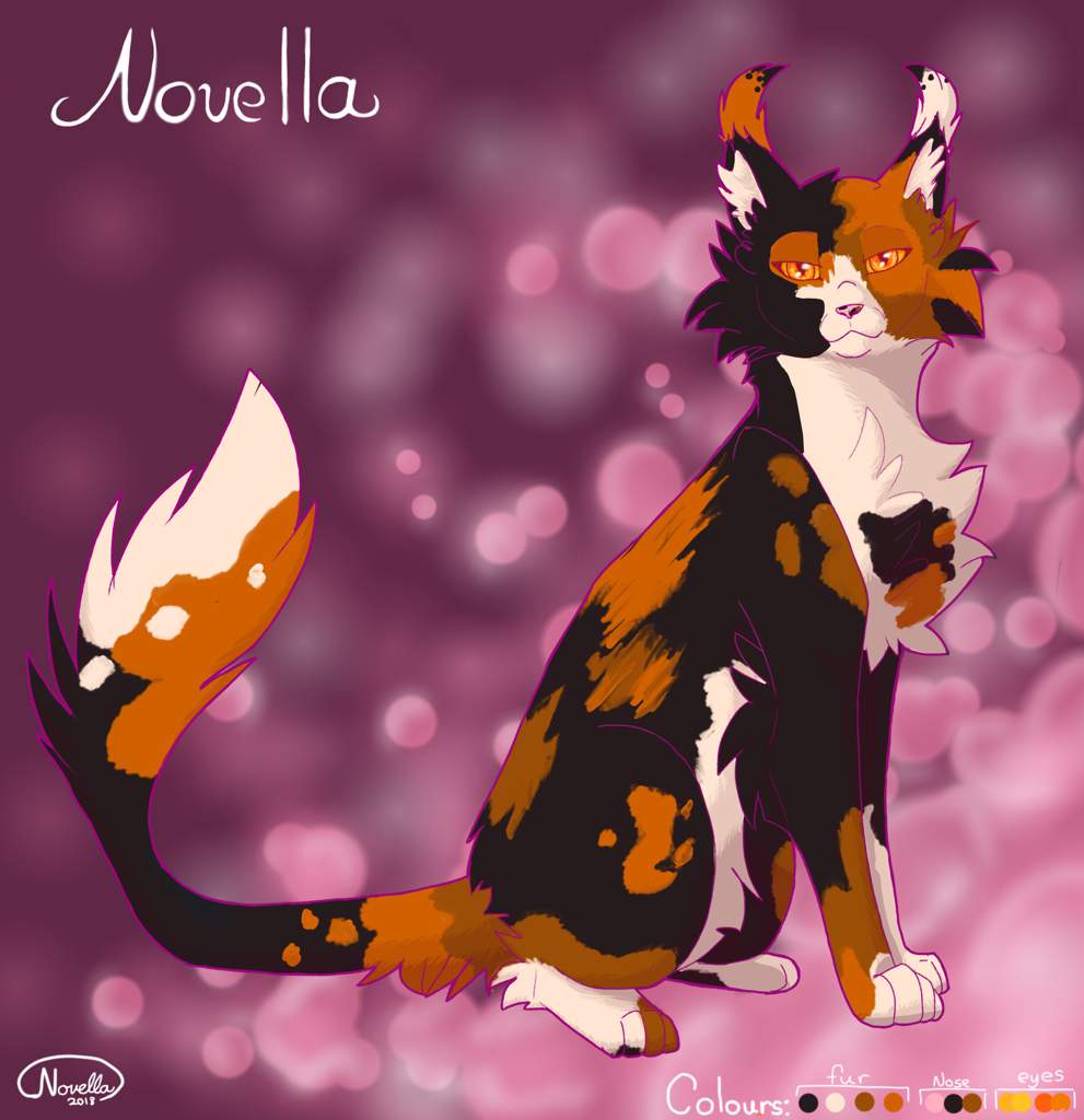 Novella | Warriors Amino