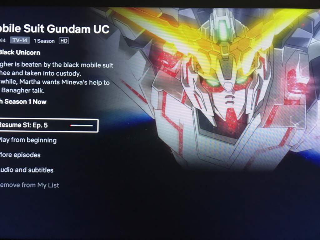 Netflix Gundam Amino