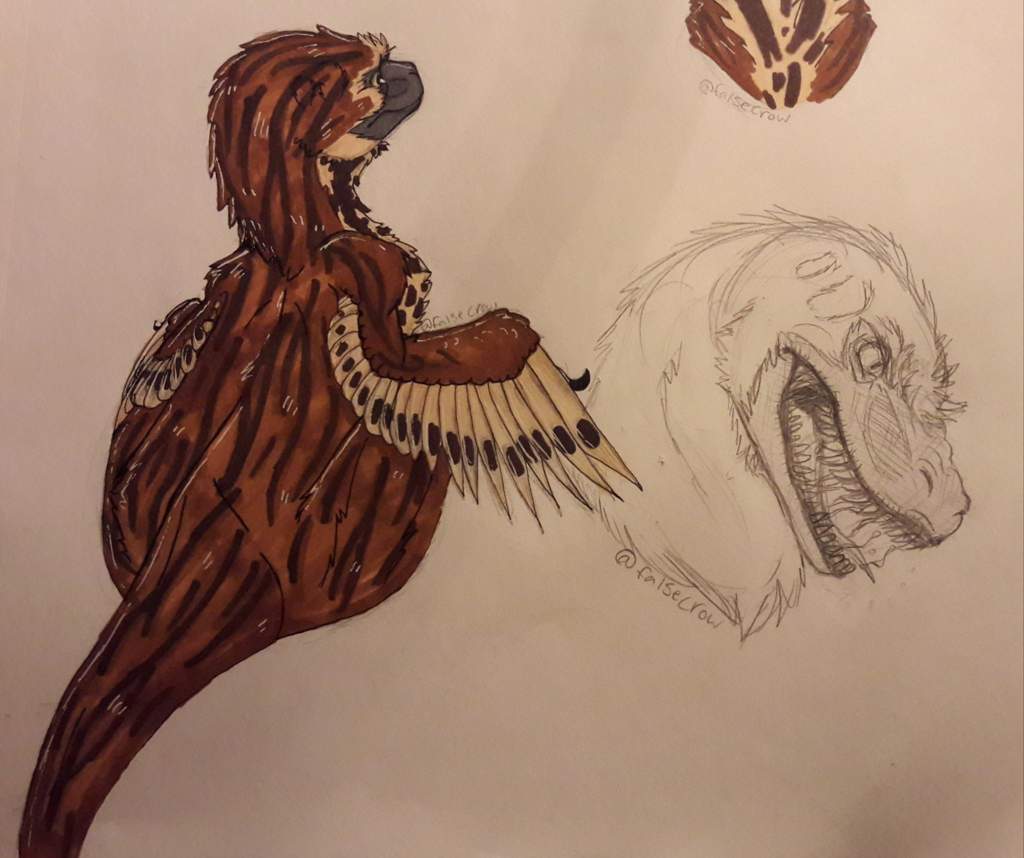 dakotaraptor skeleton