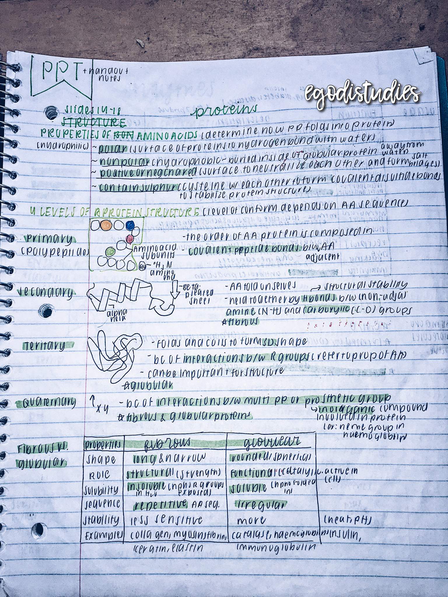 ib bio // biochem notes | Studying Amino Amino