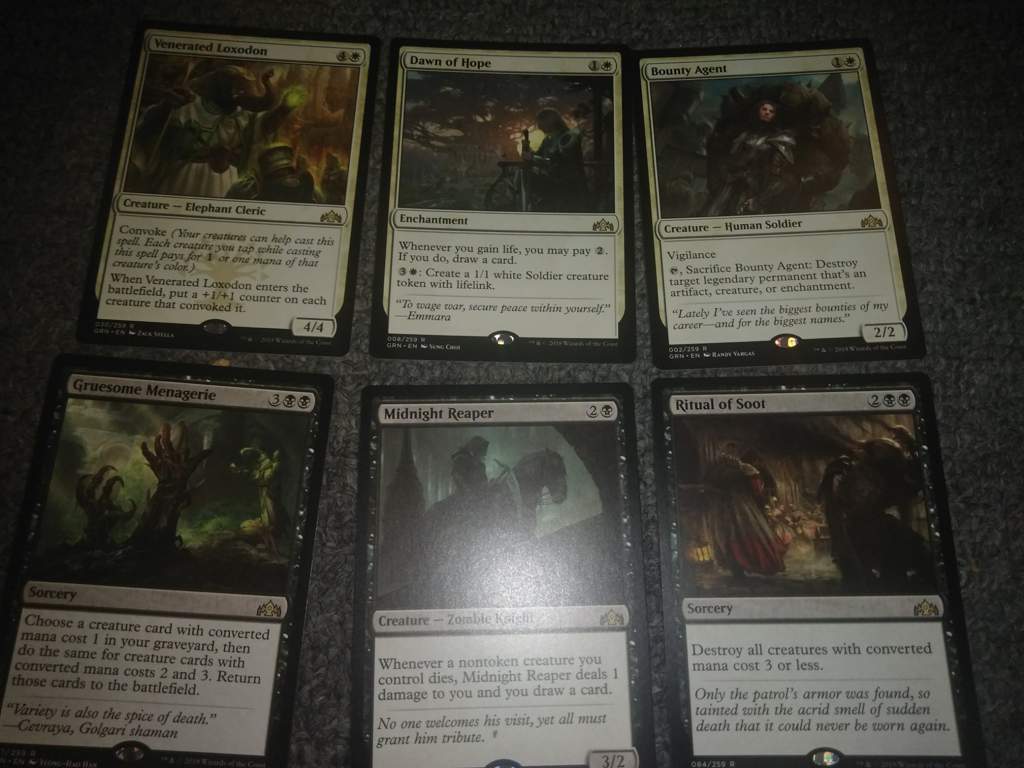 4x Generous Stray NM MTG Guilds of Ravnica Green Common 