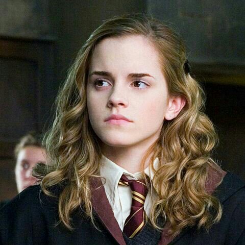 Hermione Granger ( the cleverest girl) | Harry Potter Amino