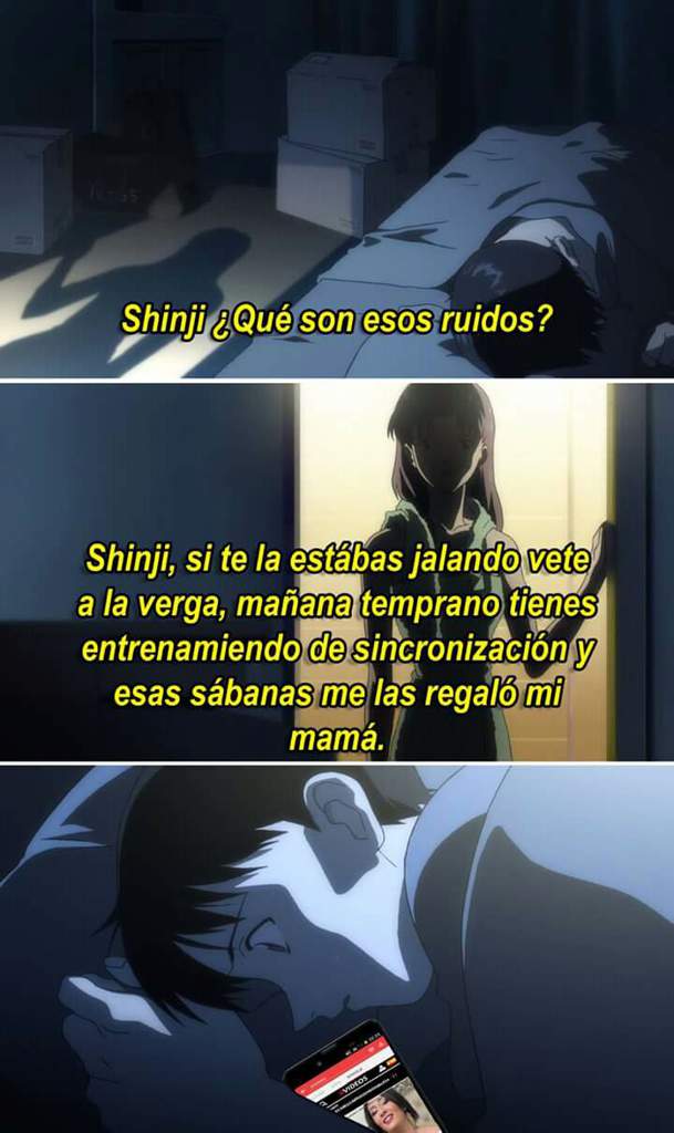 Memes De Shinji Y Misato Evangelion Miembros De Nerv Amino