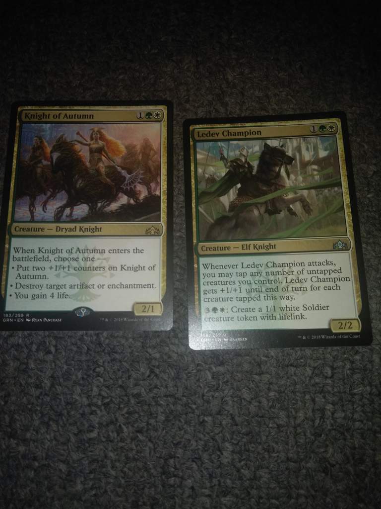 4x Generous Stray MTG Guilds of Ravnica Green Common NM 