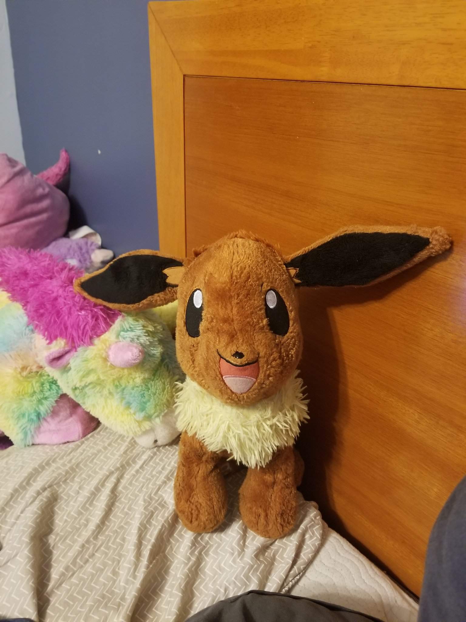 My favorite plushie, Eevee! | Build A Bears Amino