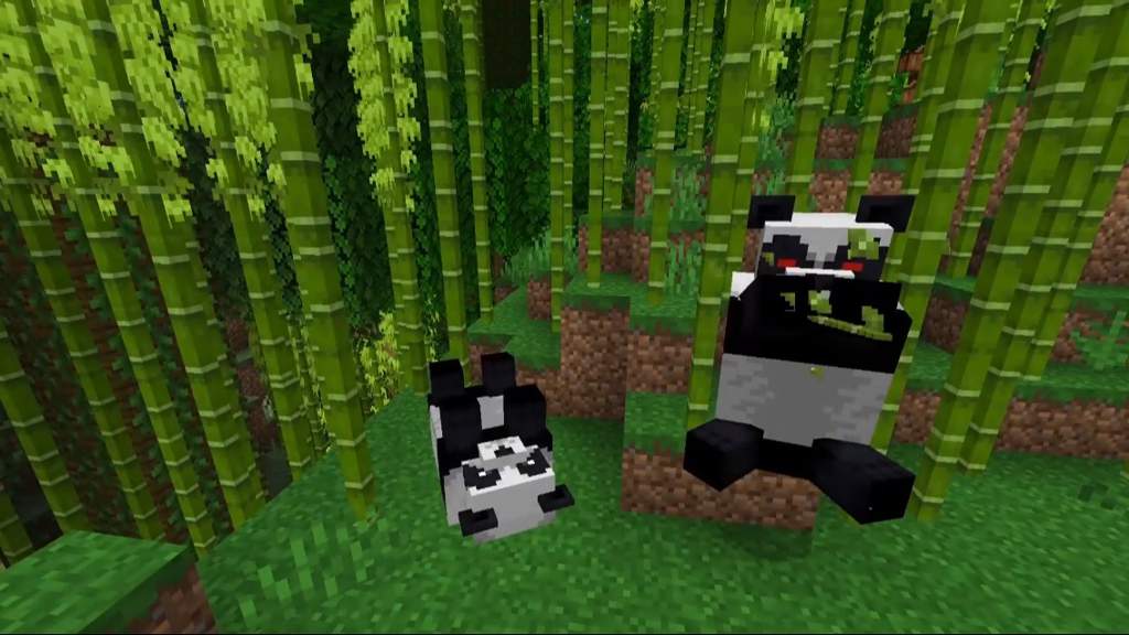 Panda Predictions | Minecraft Amino