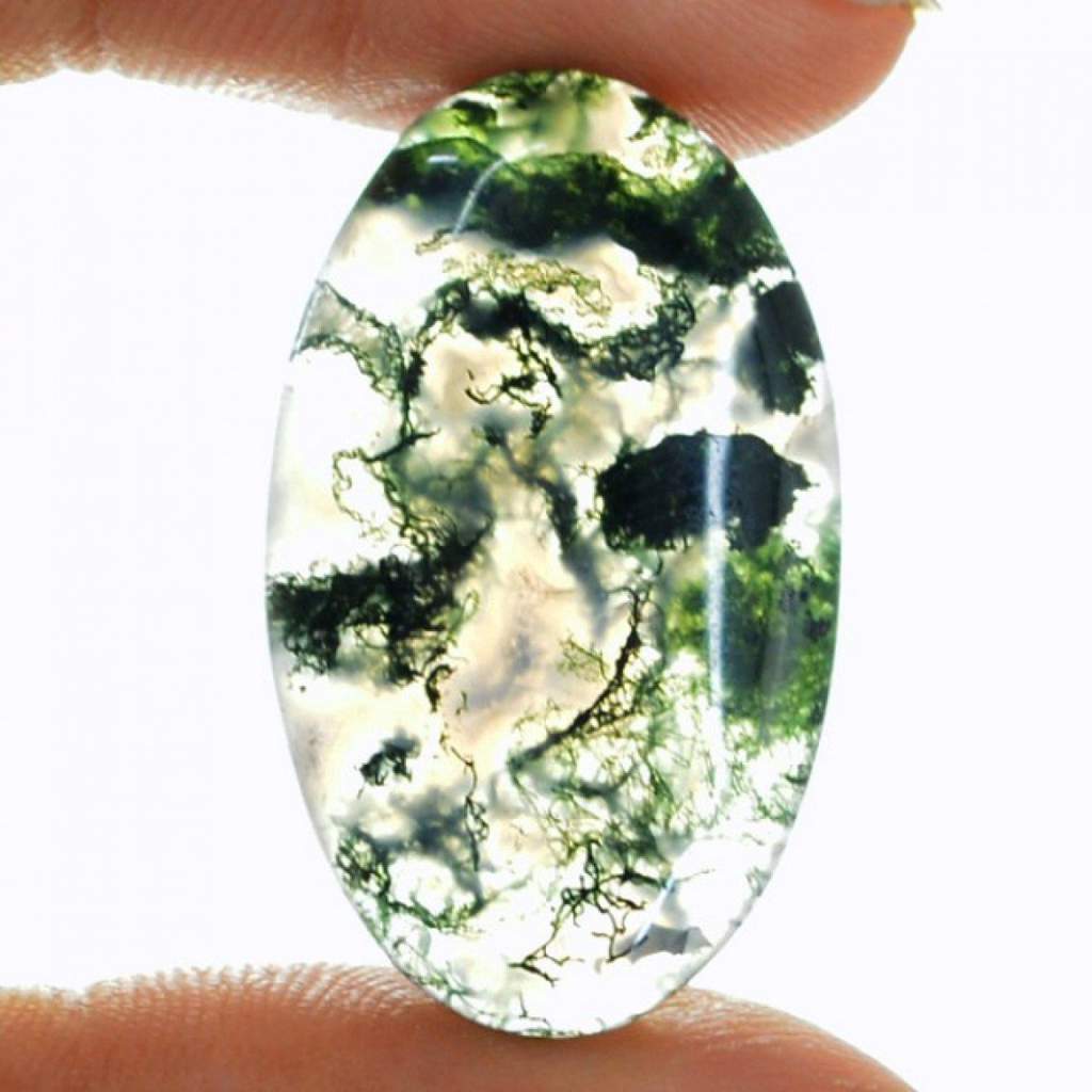 tree agate wiki